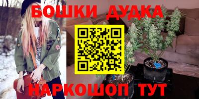 гидра Каменск-Шахтинский