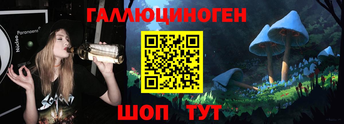 Галлюциногенные грибы Cubensis Костомукша